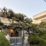 Thumbnail of post image 091